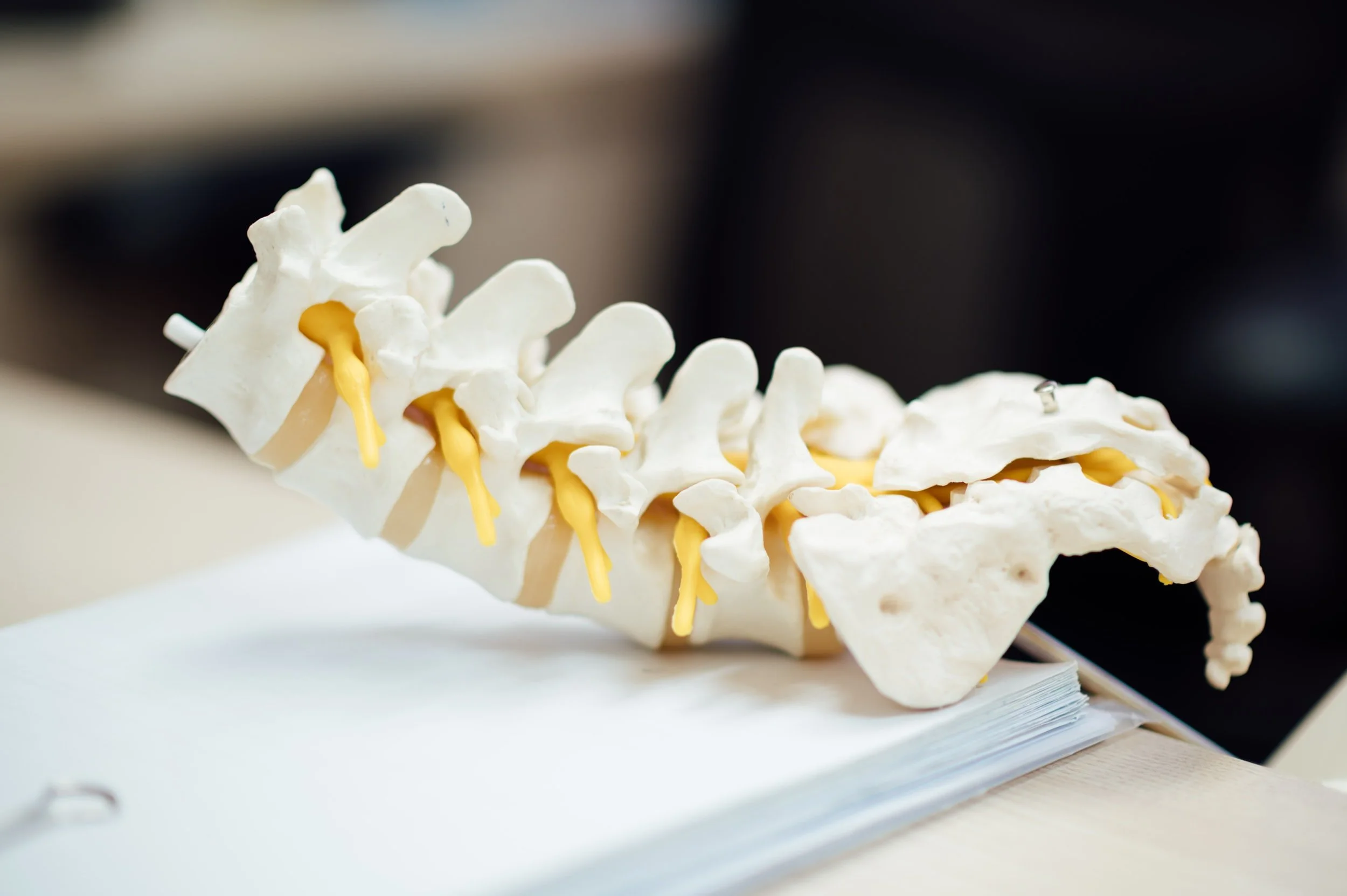 Chiropractic Care treatment at Keep It Kinetic Chiropractic